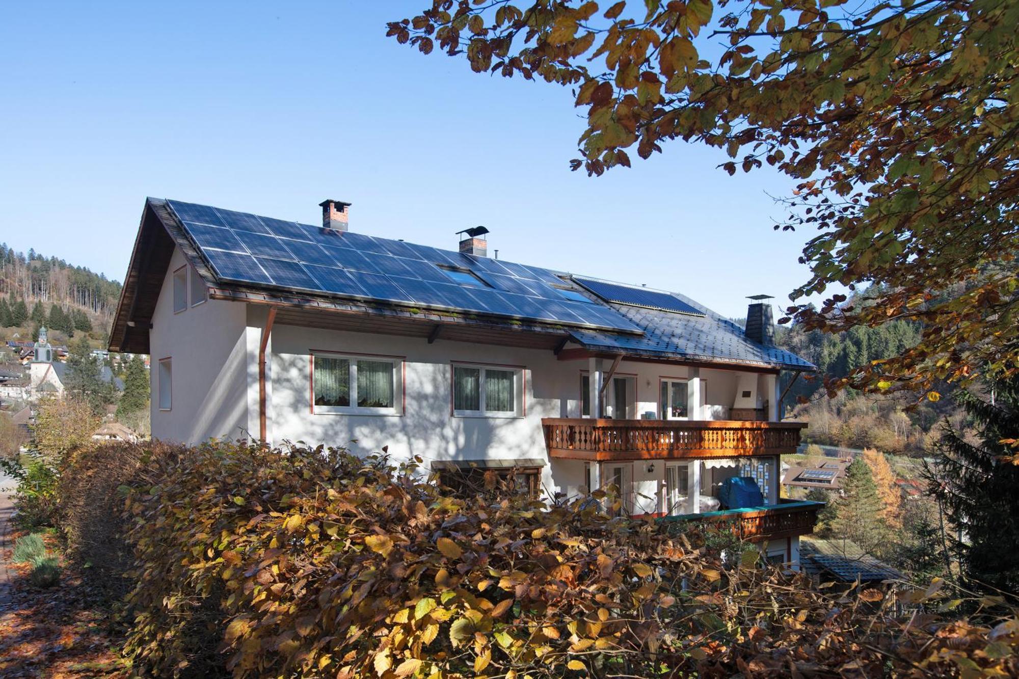 Haus Monika Hotell Todtmoos Eksteriør bilde